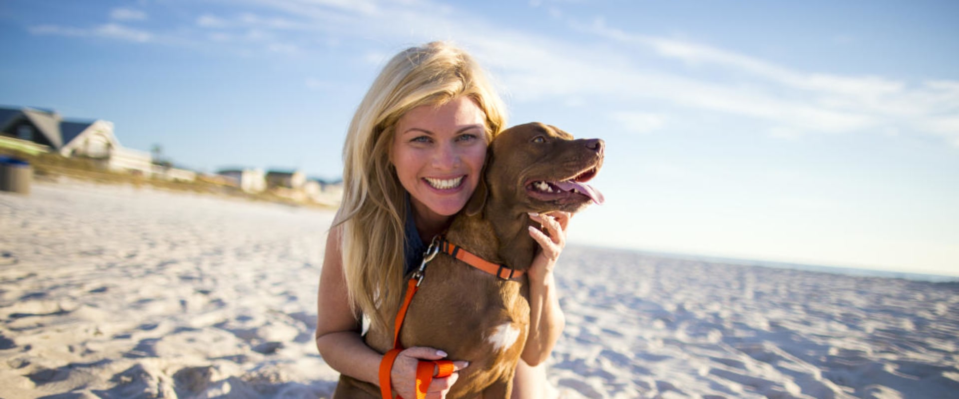 Are Pets Welcome at the Panama City Beach Festival?