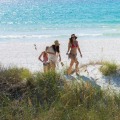 Experience the Best of Panama City Beach During Spring Break